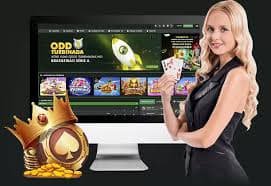 qq8816